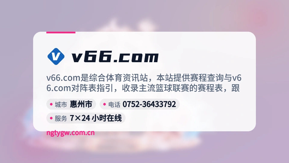 v66.com是谁